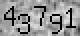 field captch